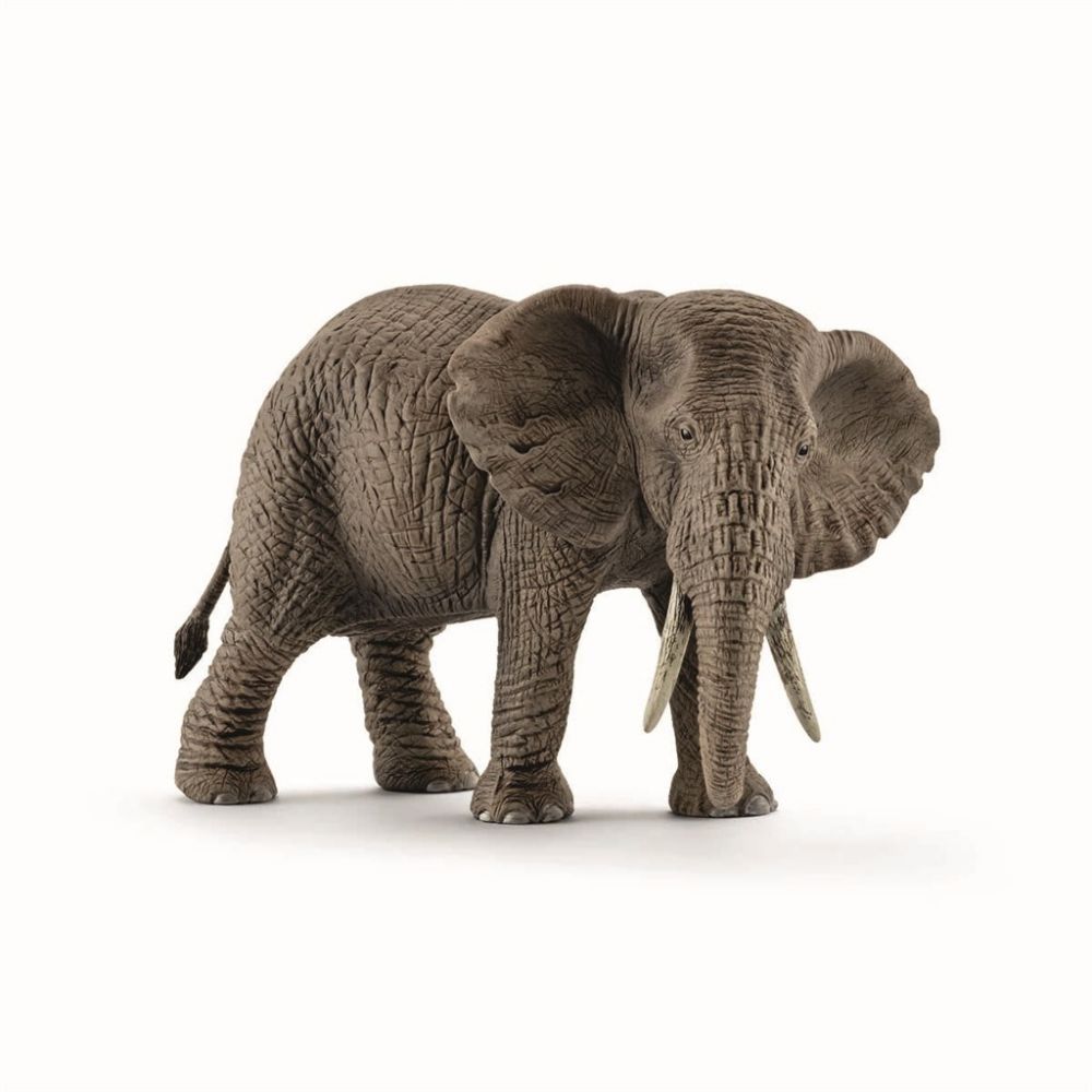 Schleich Afrikansk Elefant hunn